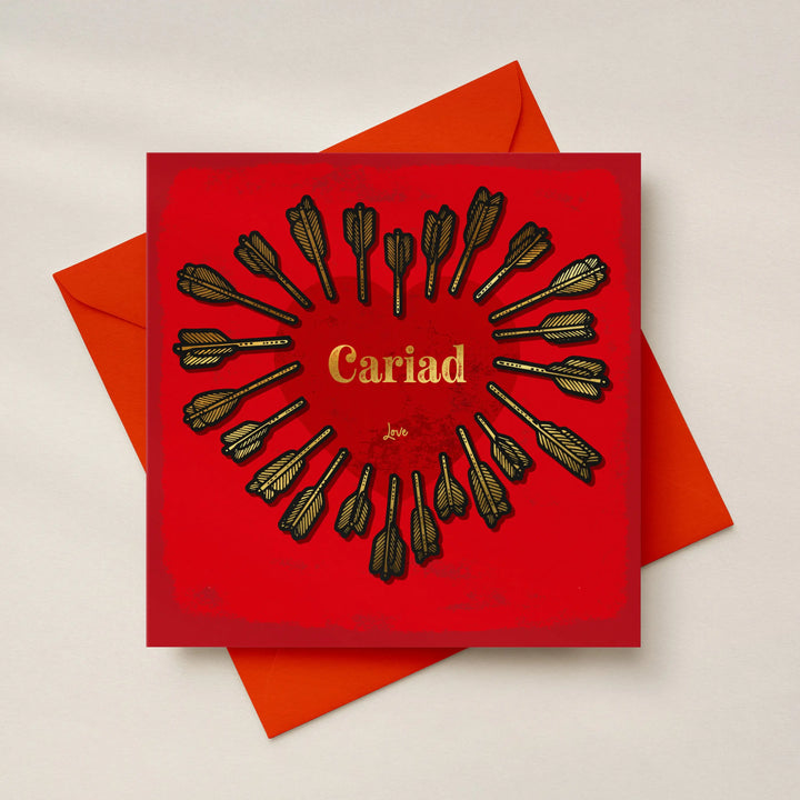 Cariad - Welsh Love Bilingual Welsh Love Card Gold Foil Detail Sweary Card Lady