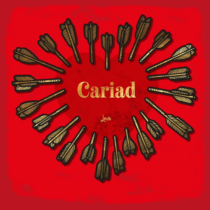 Cariad - Welsh Love Bilingual Welsh Love Card Gold Foil Detail Sweary Card Lady