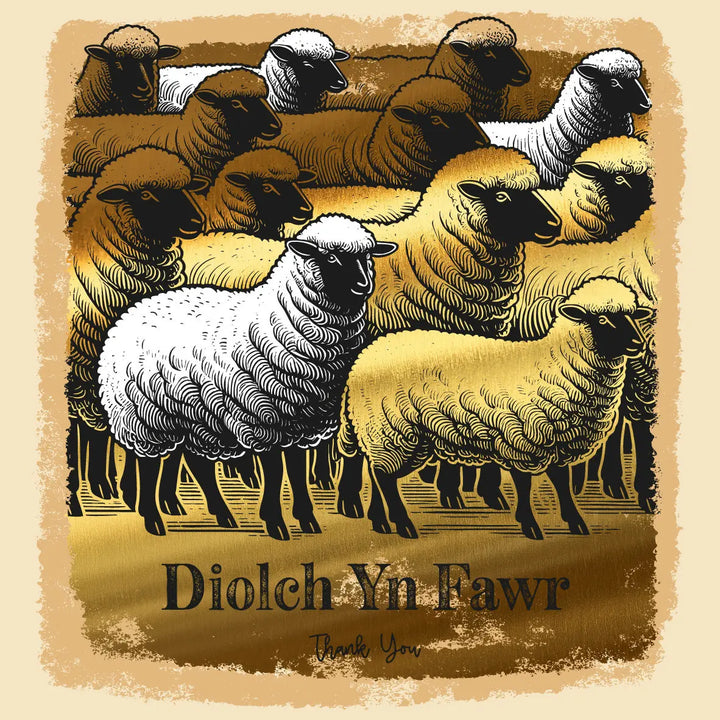 Bilingual Welsh Thank You - Diolch Yn Fawr Gold Foil Card Sheep Design Sweary Card Lady